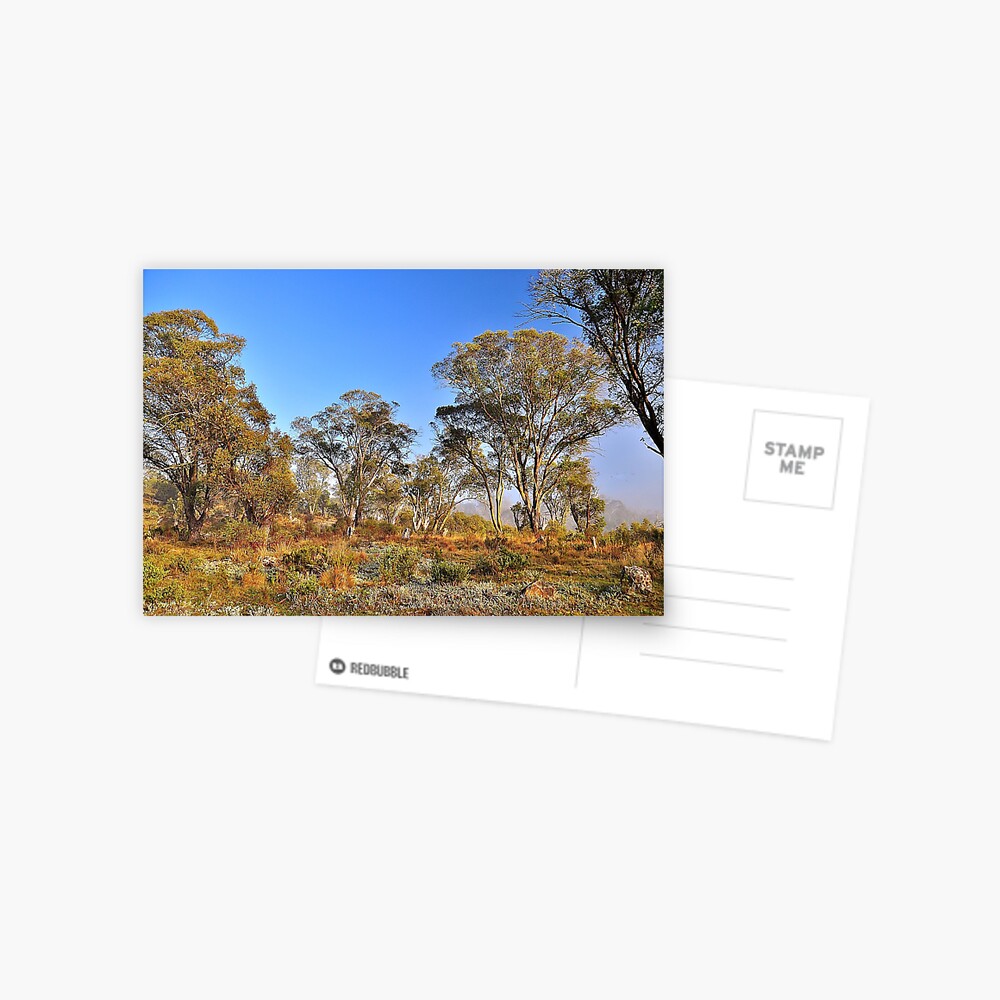 Item preview, Postcard designed and sold by Tezzer.