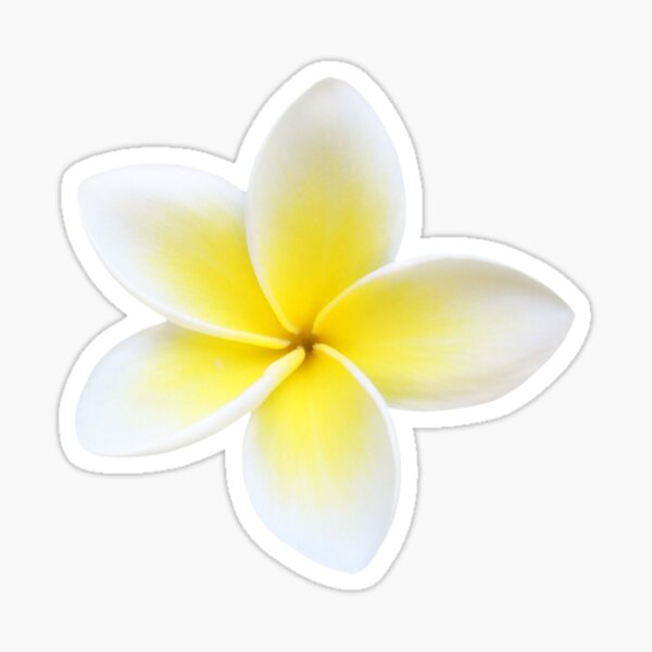 Item preview, Frangipani coconut girl flower designed and sold by cherryana.