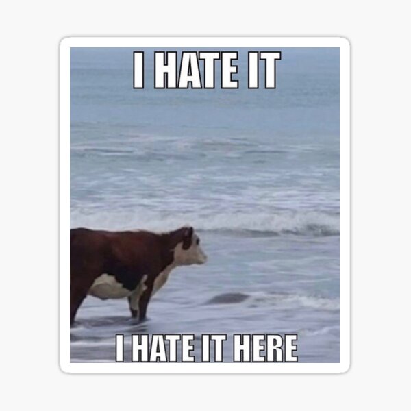 Item preview, I hate it here cow meme designed and sold by mrspooder.