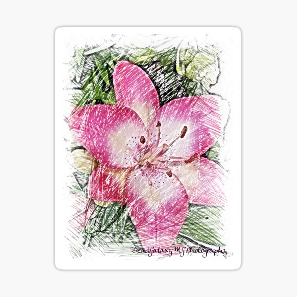 Item preview, Lily Photography Turned to Sketch designed and sold by DeadGalaxyMGP.