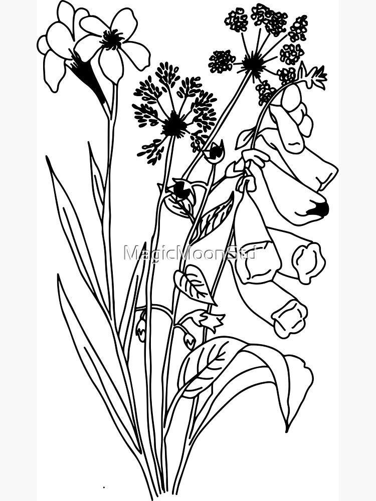 Discover Poisonous Flowers Illustration Premium Matte Vertical Poster