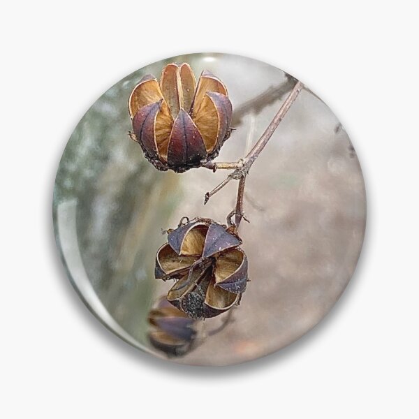 Item preview, Crape Myrtle Seed Pods designed and sold by Max Kindly.
