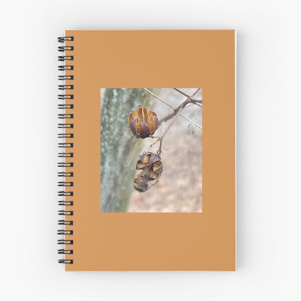 Item preview, Crape Myrtle Seed Pods designed and sold by Max Kindly.