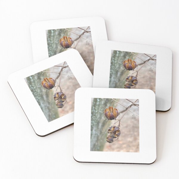 Item preview, Crape Myrtle Seed Pods designed and sold by Max Kindly.