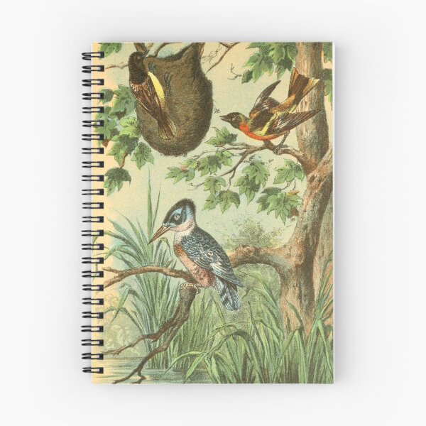 Item preview, Three Birds Perched on a Tree designed and sold by laguitan10.
