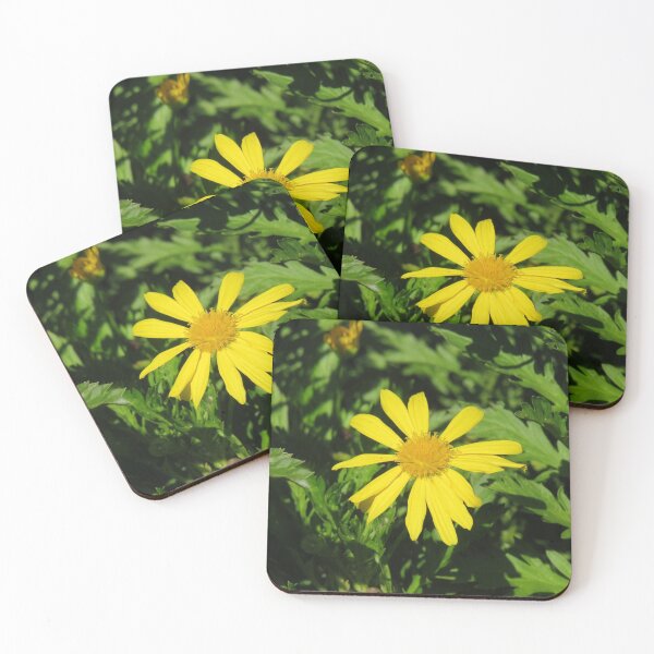 Item preview, Yellow euryops flower designed and sold by greentiger1.