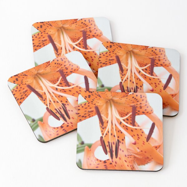 Item preview, Orange single floral print. designed and sold by Anamika Mehta.