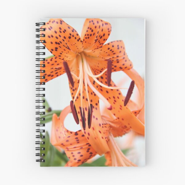 Item preview, Orange single floral print. designed and sold by Anamika Mehta.