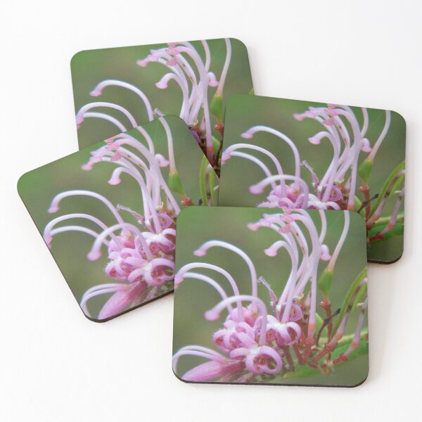 Item preview, Pink Spider flower, (Grevillea sericea) designed and sold by Cobargo South Coast.