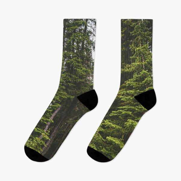 Item preview, Magical Evergreen Mountain Woods designed and sold by Amy Mitchell.