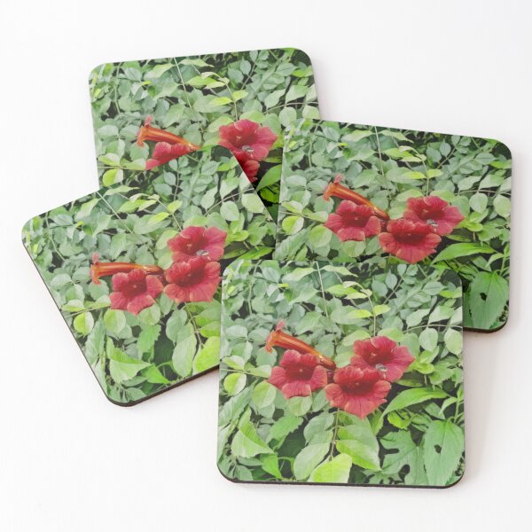Item preview, Pollination in Process designed and sold by Madelyn Paige.