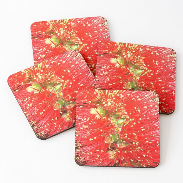 Item preview, Bottle Brush (Callistemon), NSW, Australia designed and sold by Cobargo South Coast.