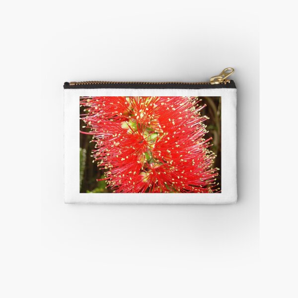 Item preview, Bottle Brush (Callistemon), NSW, Australia designed and sold by Cobargo South Coast.