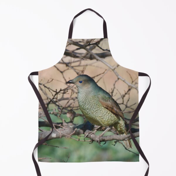 Item preview, Female Satin Bower Bird designed and sold by notjustamwac.
