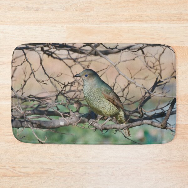 Item preview, Female Satin Bower Bird designed and sold by notjustamwac.