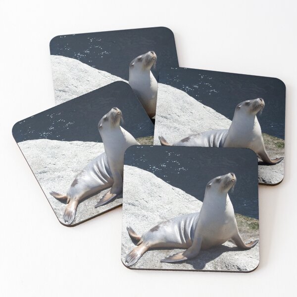 Item preview, Sleek sea lion shows off designed and sold by smh2.