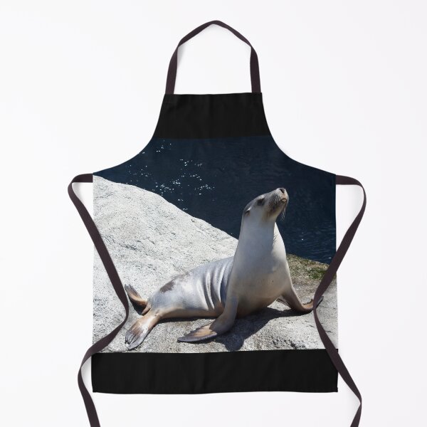 Item preview, Sleek sea lion shows off designed and sold by smh2.