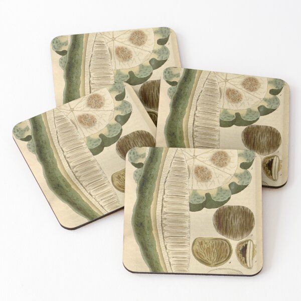 Item preview, Curtis's botanical magazine (Plate 2752) (8611147596) designed and sold by EsotericBotanic.