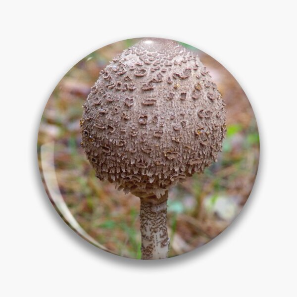 Item preview, Umbrella mushroom designed and sold by Babbler01.