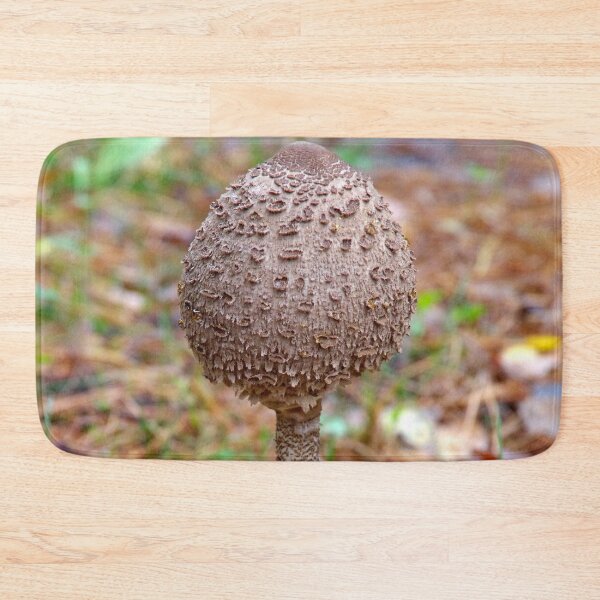 Item preview, Umbrella mushroom designed and sold by Babbler01.