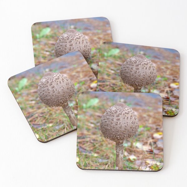 Item preview, Umbrella mushroom designed and sold by Babbler01.