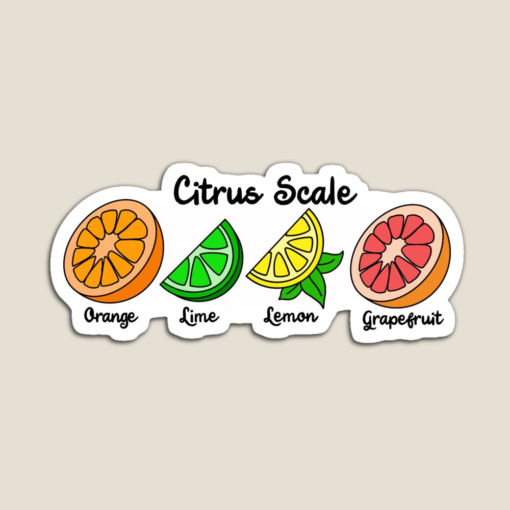 Journal Sticker (Fruits) - Stickers - Home and Living - Canon