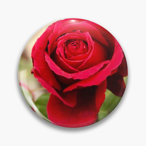 Item preview, Red rose, Macedon Garden designed and sold by Susan Henry.