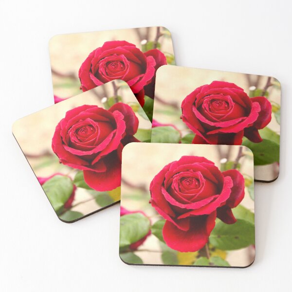Item preview, Red rose, Macedon Garden designed and sold by Susan Henry.