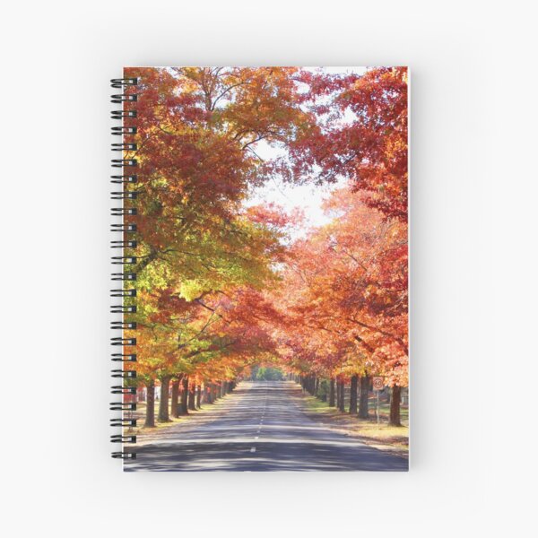 Item preview, Autumnal glory on Honour Avenue designed and sold by Susan Henry.