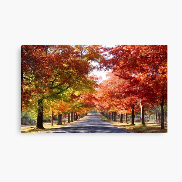 Item preview, Autumnal glory on Honour Avenue designed and sold by Susan Henry.