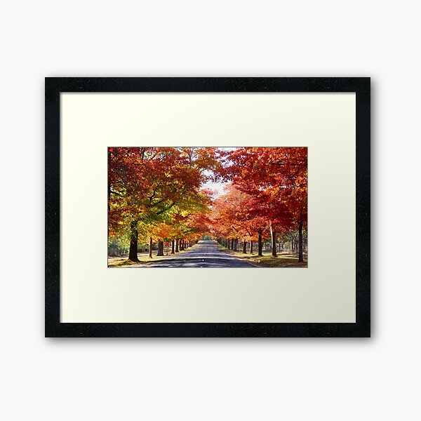 Item preview, Glorious Honour Avenue, Macedon designed and sold by Susan Henry.