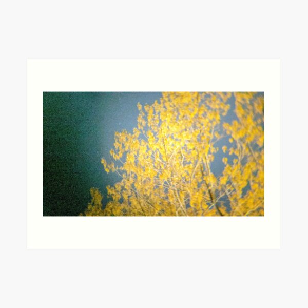 Yellow Tree at Night Art Print