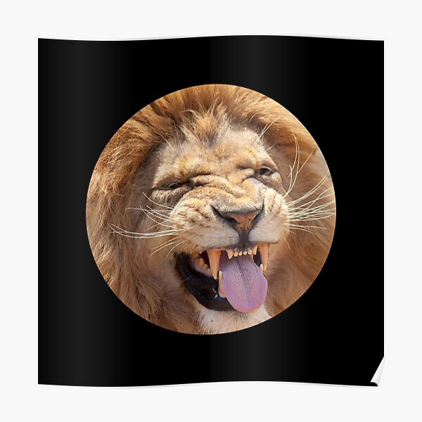 poster troll face redbubble