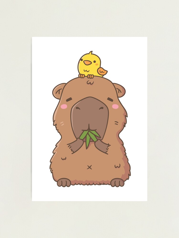 Doodle With Me - Capybara (Capivara) 