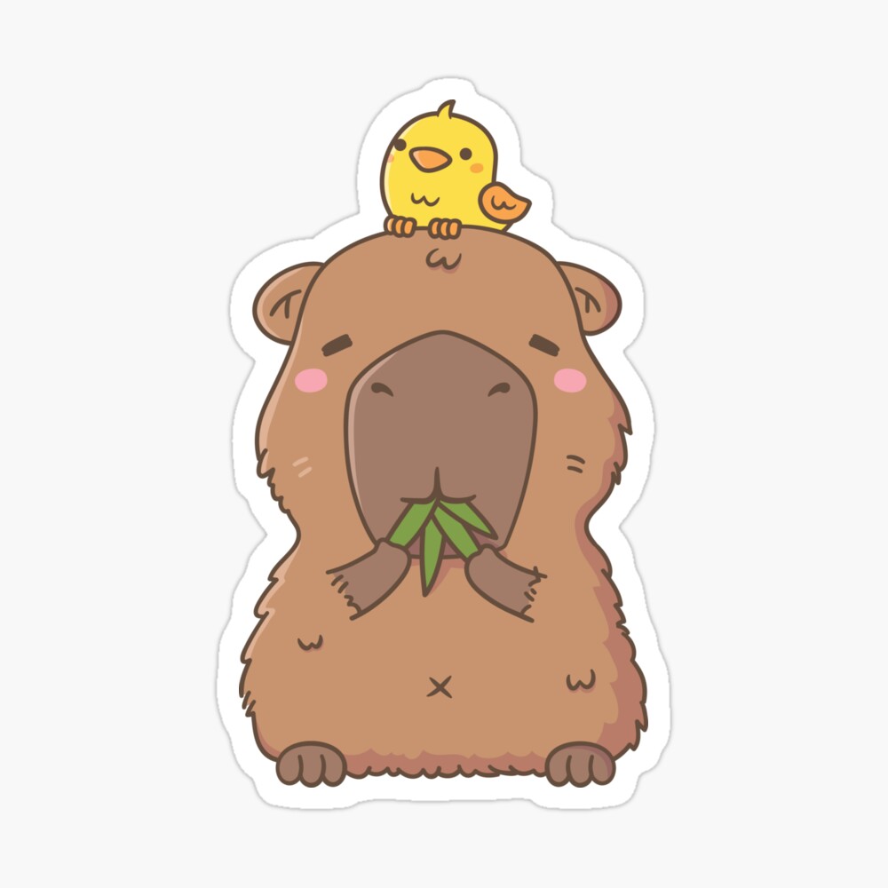 Capybara with his bird friend  Capybara, Cute drawings, Cute doodles