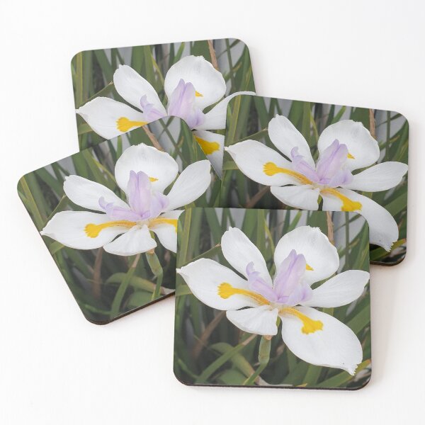 Item preview, Wild Iris growing on a roadside in Western Australia designed and sold by FunkyTowns.