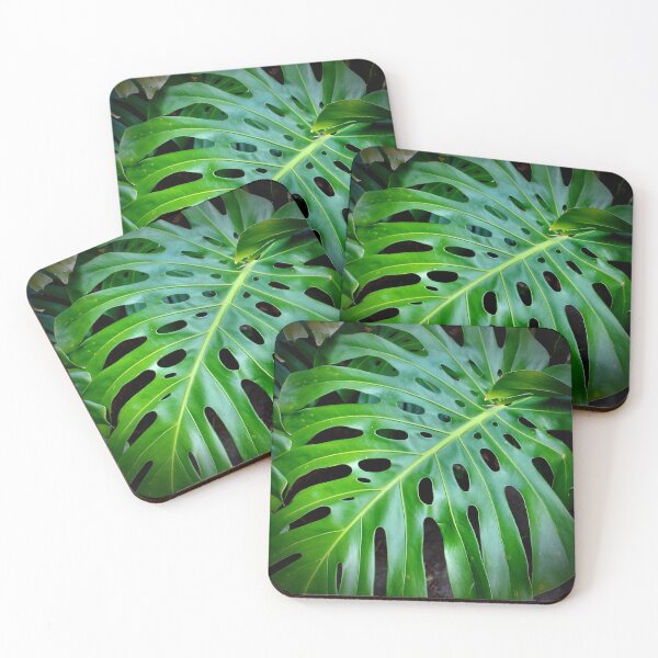Item preview, Monstera Leaf Detail designed and sold by smh2.
