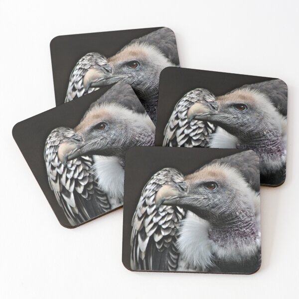 Item preview, Rüppells Griffon Vulture designed and sold by Yampimon.