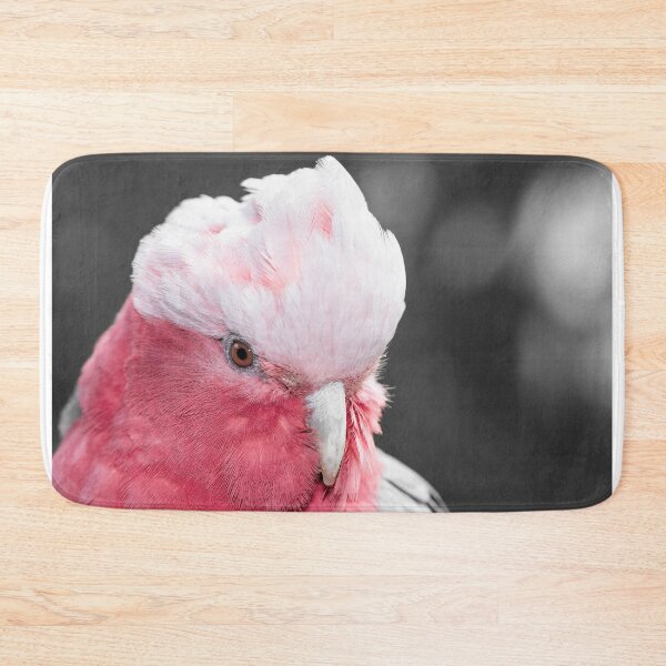 Item preview, Galah designed and sold by phillymag.
