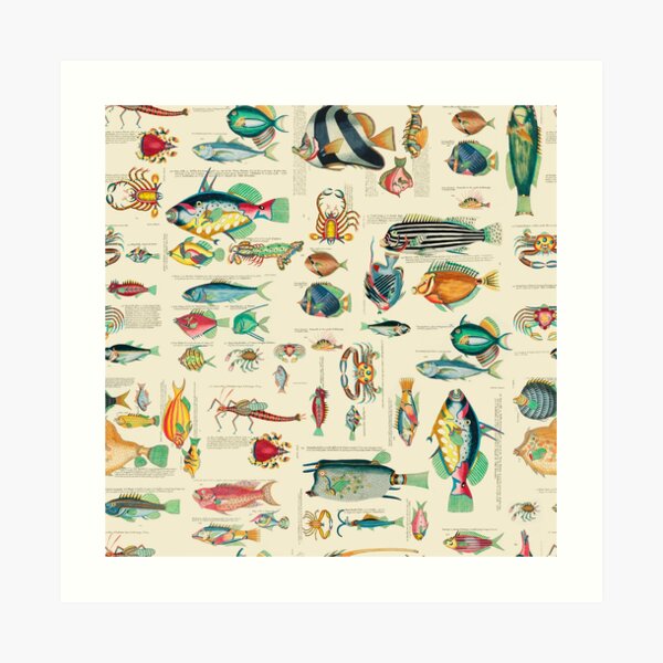 Vintage Fishing Lures 1 Art Board Print for Sale by tupa