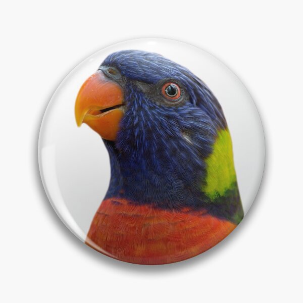 Item preview, Rainbow Lorikeet - Australian Bird - Australian Wildlife - Rainbow Bird - Colourful Bird designed and sold by phillymag.