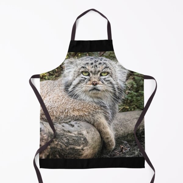 Item preview, Manul - commando cat designed and sold by Martulia.