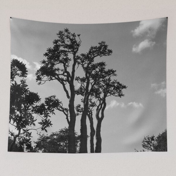 Item preview, Exotic Tropical Trees Silhouette, Socotra Island designed and sold by worldways.