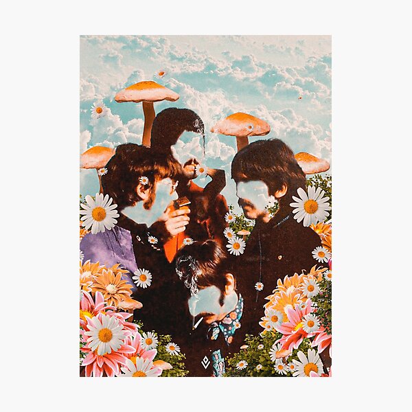 The beatles in the sky Photographic Print