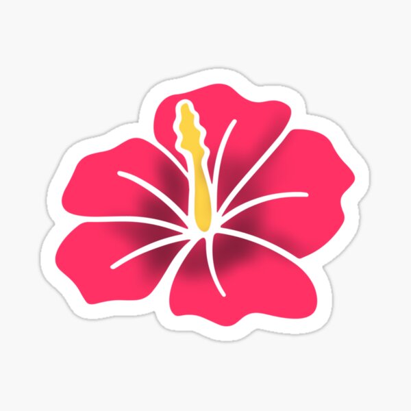 Hibiscus flower Hibiscus flower