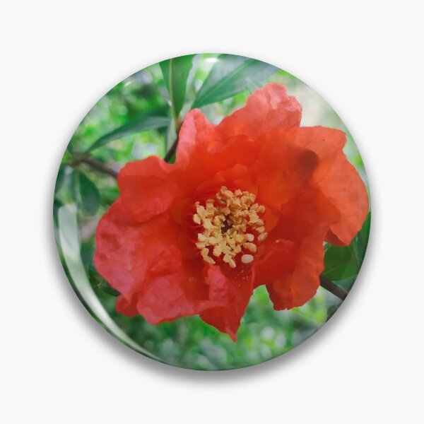 Item preview, colorful pomegranate flower designed and sold by kimart18.