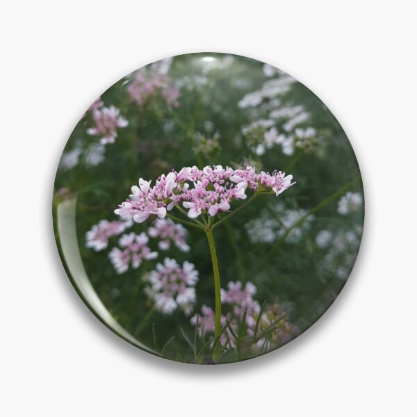Item preview, Beautiful pink  flower capture photography designed and sold by kimart18.