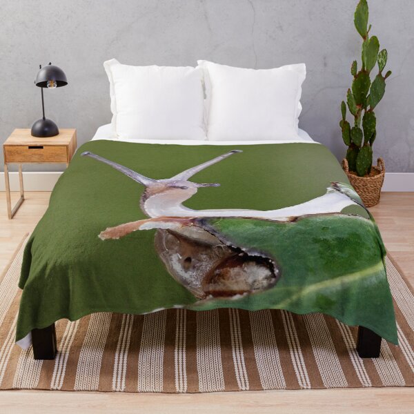 Item preview, r1218/ Finition 2021 - 3 - Escargot  " Coucou ! "  (c)(h) Olavia-Olao Okaio Créations designed and sold by o.okaïo.
