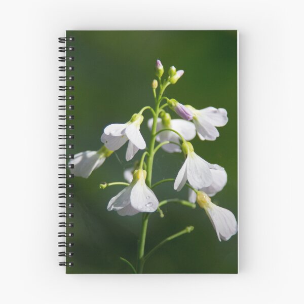 Item preview, Cuckoo's Flower designed and sold by Calidris Fotografie Steffi & Ben Köppler.