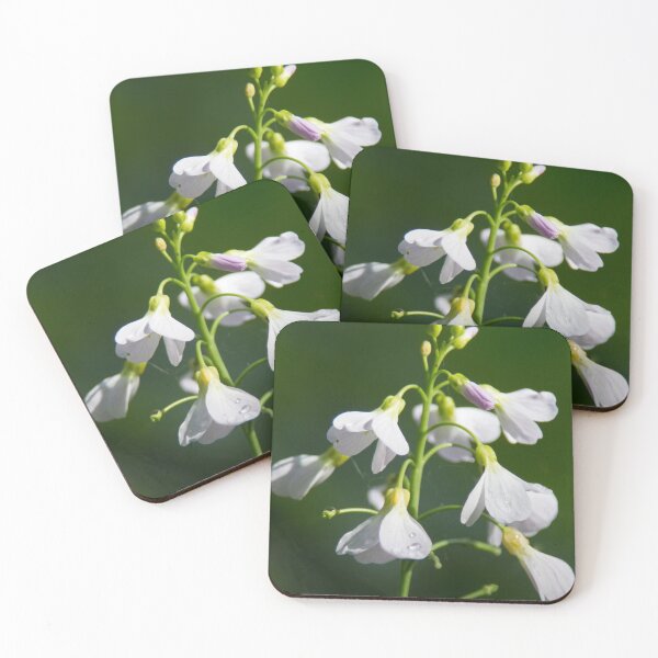 Item preview, Cuckoo's Flower designed and sold by Calidris Fotografie Steffi & Ben Köppler.